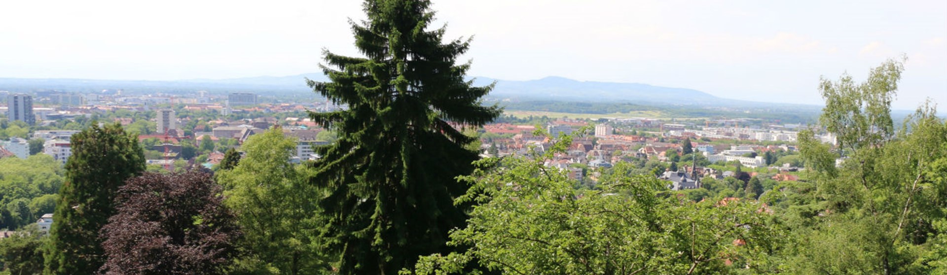 Ausblick vom Bergpfad_responsive